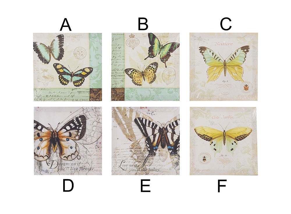 Cuadro de mariposas (28x28 cm)