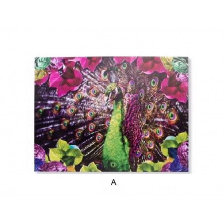 Scatola in Tela (113x85x4 cm) Colorato 2 modelli