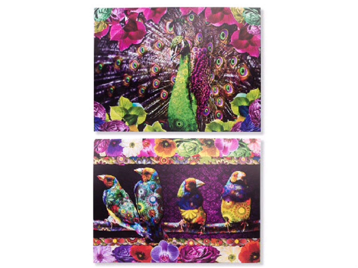 Boîte en Toile (113x85x4 cm) Coloré 2 modèles