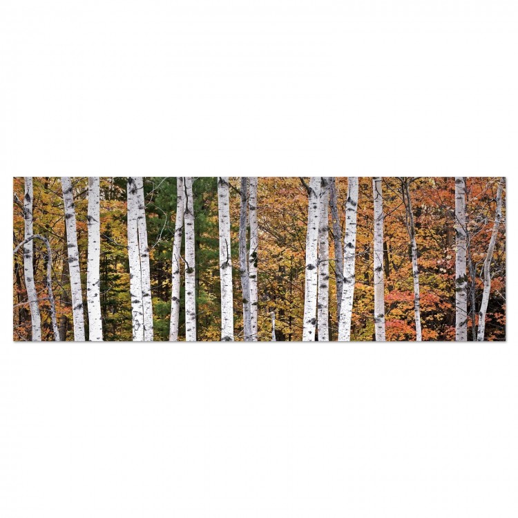 Cuadro fotoimpresión sobre lienzo, modelo bosque otoño