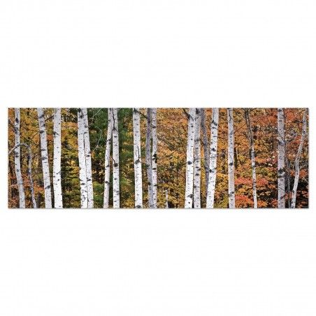Box fotoimpresión on canvas, model forest autumn