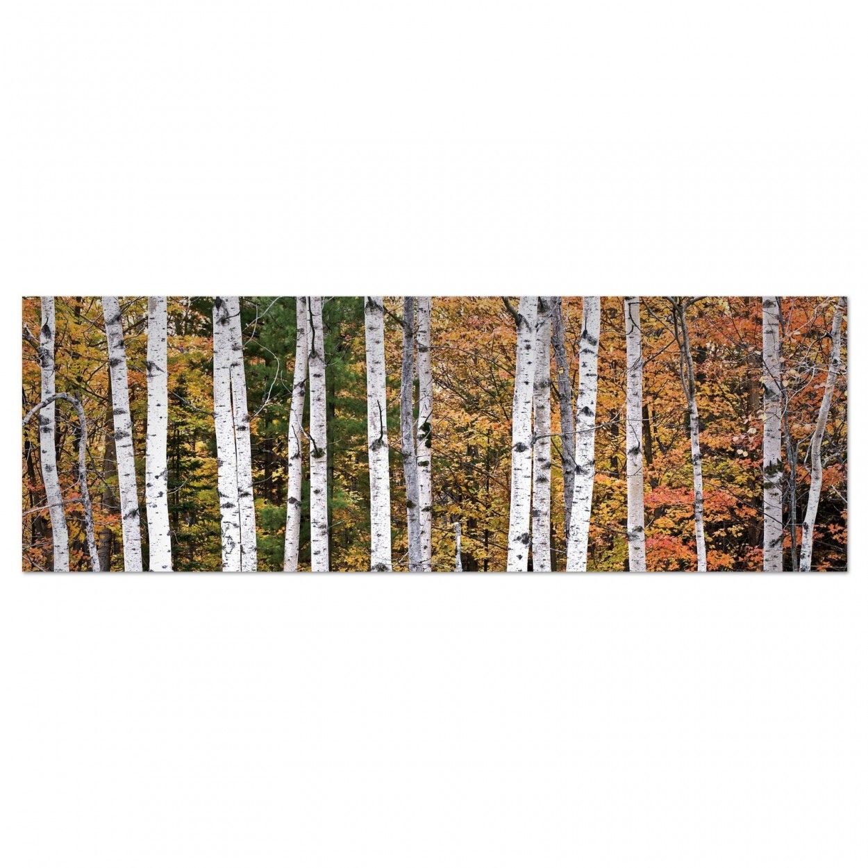 Box fotoimpresión on canvas, model forest autumn