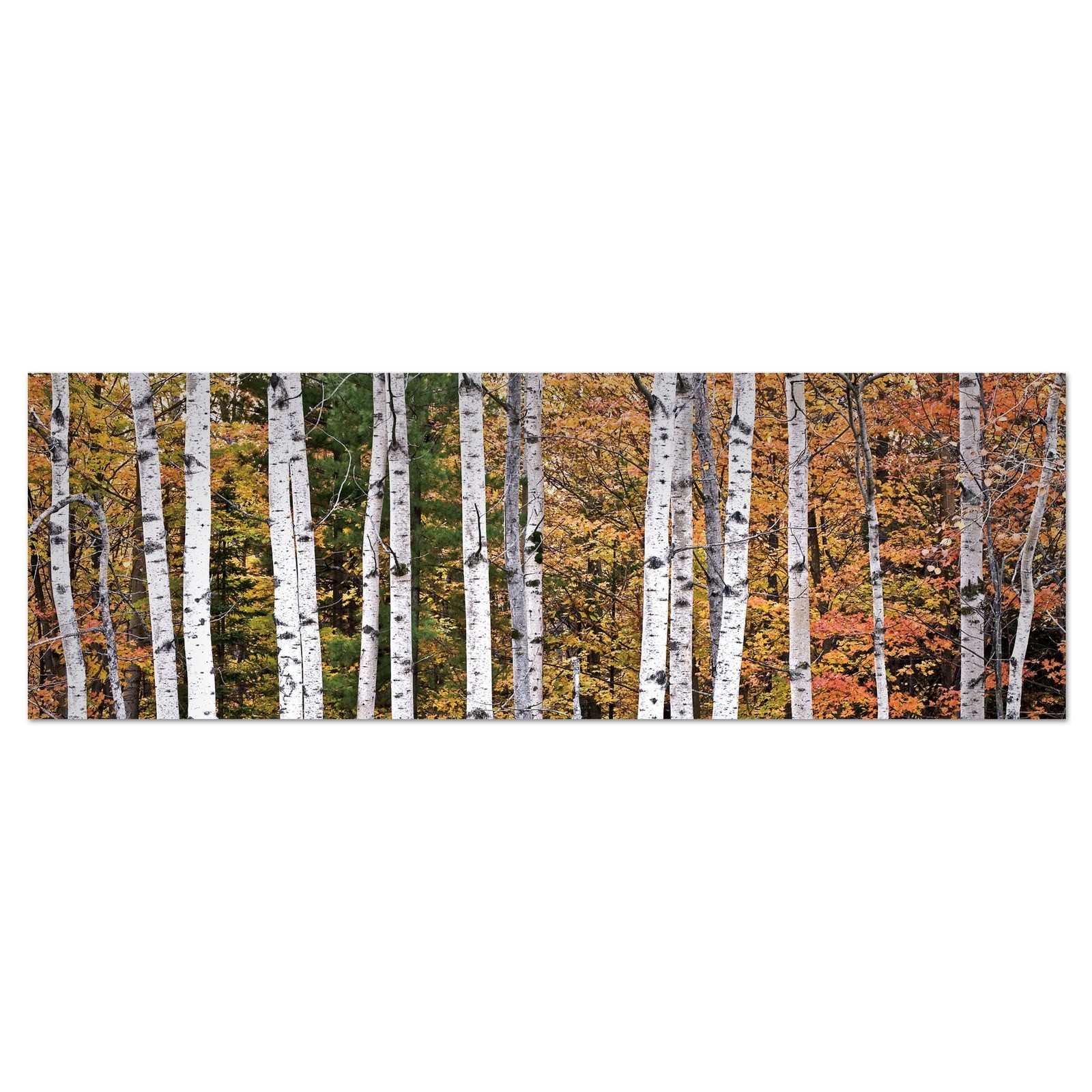 Cuadro fotoimpresión sobre lienzo, modelo bosque otoño