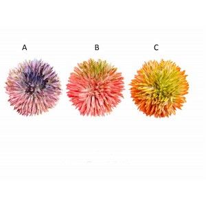 Plant eva cushioned ball