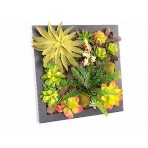 Plant Wooden table or Wall