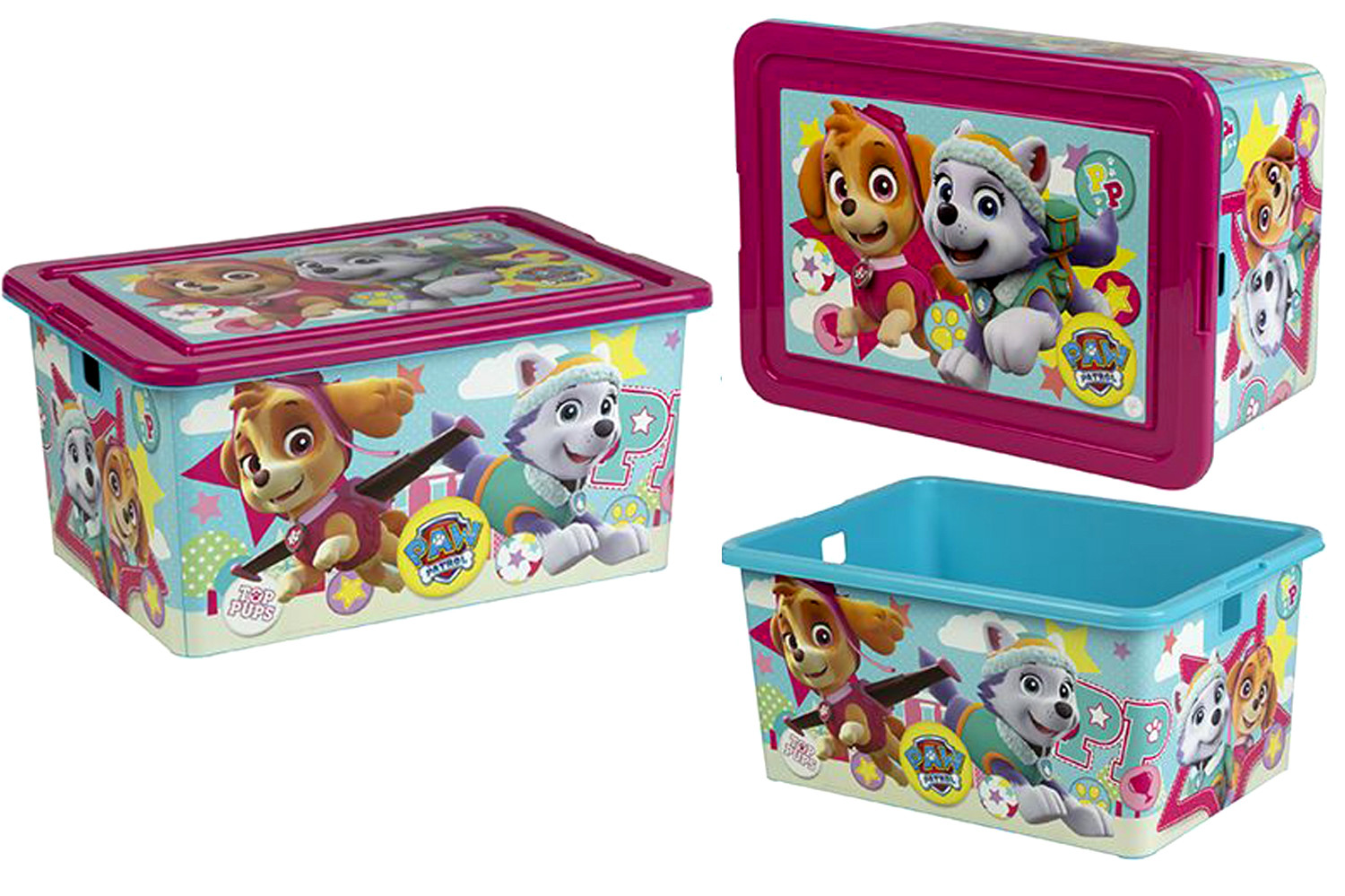 Caja Grande de Paw Patrol Sky para Ordenación