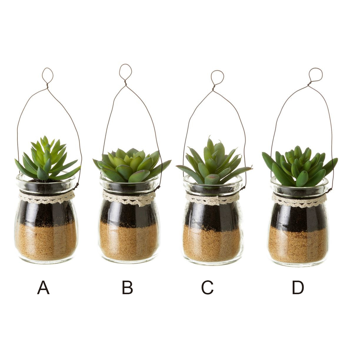 Cactus di Plastica in Vasetti di Vetro