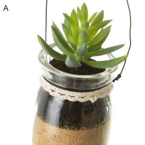 Cactus di Plastica in Vasetti di Vetro