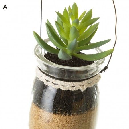 Cactus Plastic in Glass Jars
