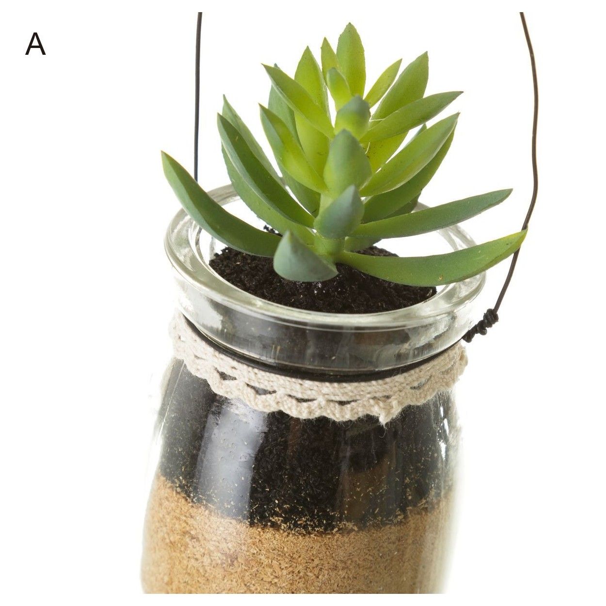 Cactus Plastic in Glass Jars
