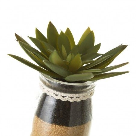 Pianta di Cactus in PVC serie di quattro unità
