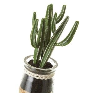 Pianta di Cactus in PVC serie di quattro unità