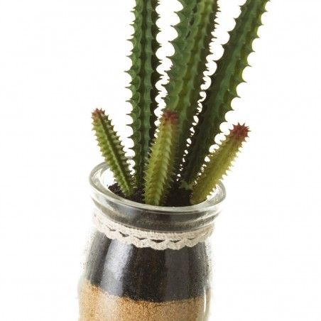 Plante de Cactus PVC Ensemble de quatre unités