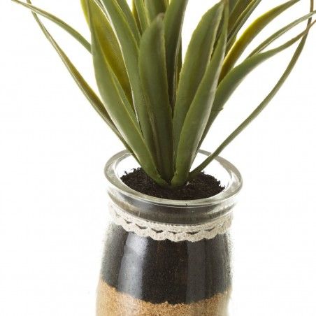 Planta Cactus PVC Set de cuatro unidades