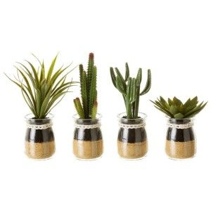Plant Cactus PVC Set of four units