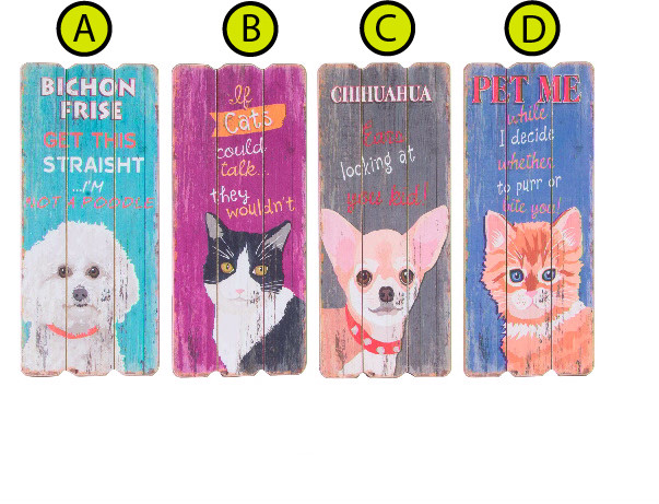 Boîte de drôle en bois pour chien et chat