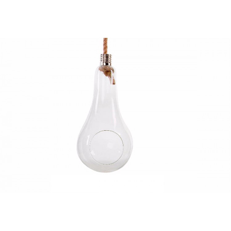 Planter original pendant of shaped glass bulb