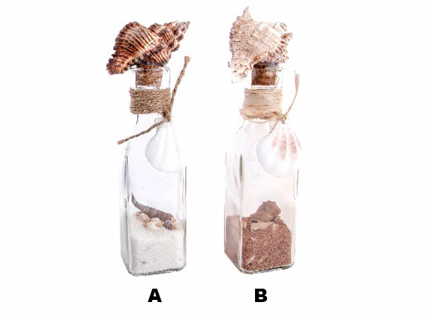 Pot de Coquillages et de Sable pour la Décoration 2 Modèles