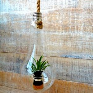 Planta Cactus PVC Set de cuatro unidades