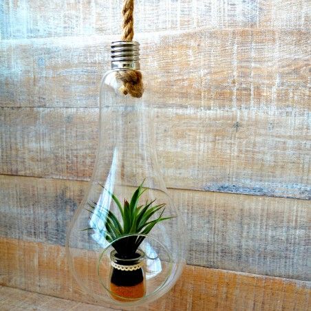 Plant Cactus PVC Set of four units