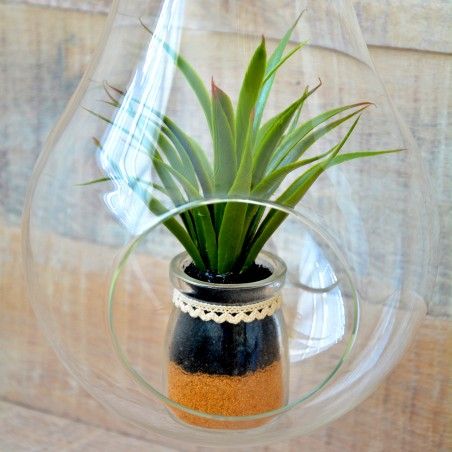 Pianta di Cactus in PVC serie di quattro unità