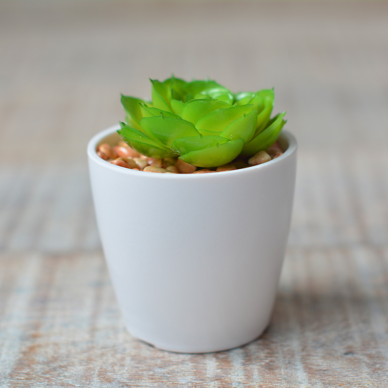 Impianto artificiale con Vaso in Ceramica Naturale di Colore Bianco per la Decorazione
