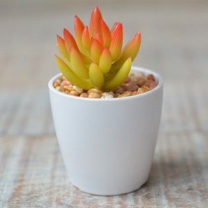 Impianto artificiale con Vaso in Ceramica Naturale di Colore Bianco per la Decorazione