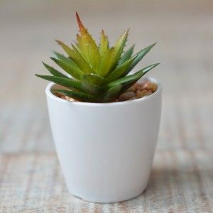 Impianto artificiale con Vaso in Ceramica Naturale di Colore Bianco per la Decorazione