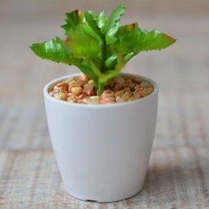 Impianto artificiale con Vaso in Ceramica Naturale di Colore Bianco per la Decorazione