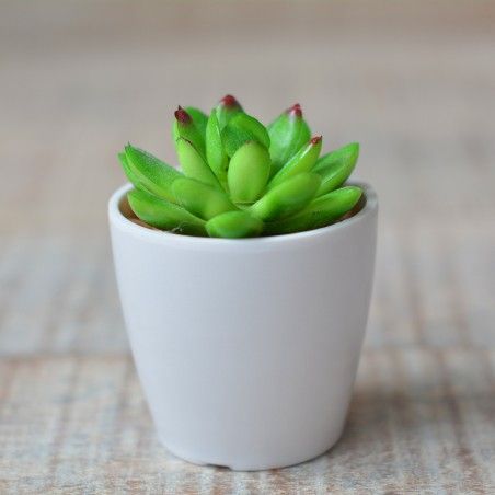 Artificial plant with Pot Ceramic Natural White Color for Decoration