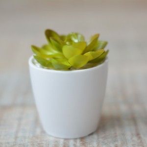 Impianto artificiale con Vaso in Ceramica Naturale di Colore Bianco per la Decorazione