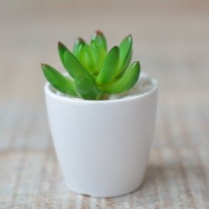 Plantes artificielles avec Pot en Céramique Blanc Naturel pour la Décoration