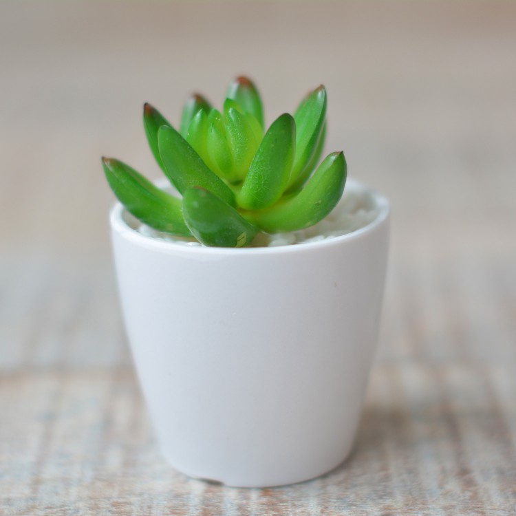 Planta Artificial con Maceta Cerámica Natural Color Blanco para Decoración