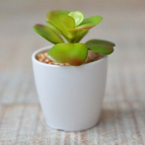 Impianto artificiale con Vaso in Ceramica Naturale di Colore Bianco per la Decorazione