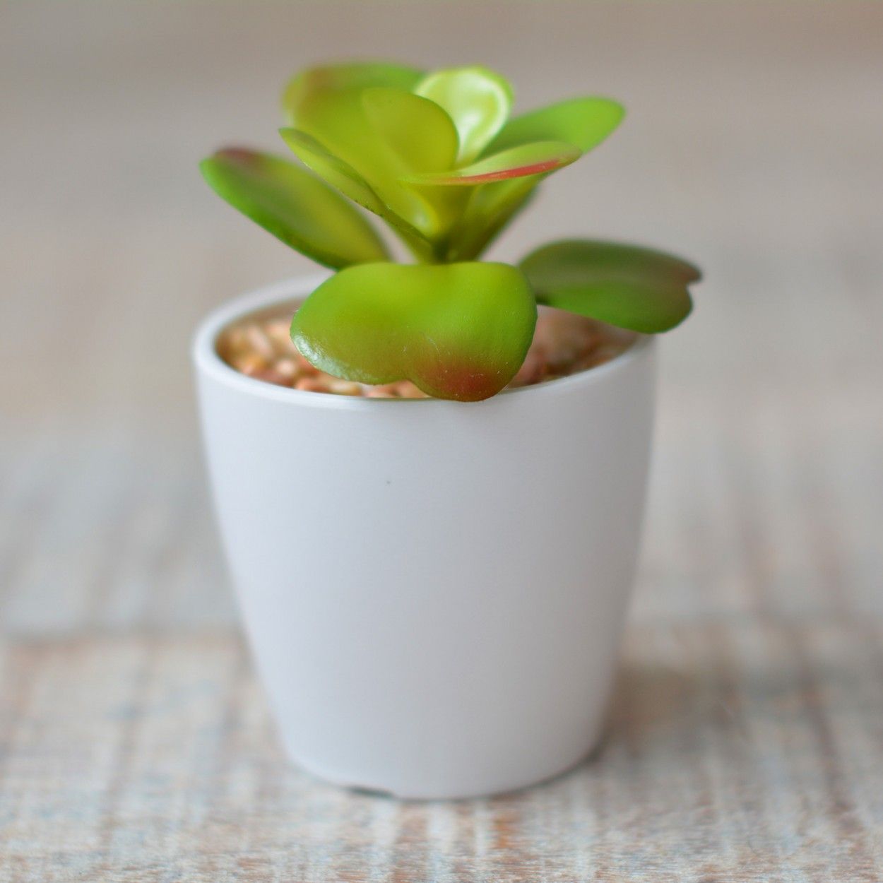 Artificial plant with Pot Ceramic Natural White Color for Decoration