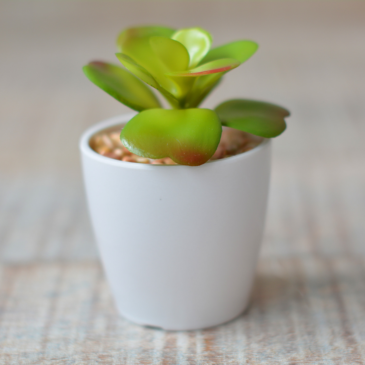Artificial plant with Pot Ceramic Natural White Color for Decoration