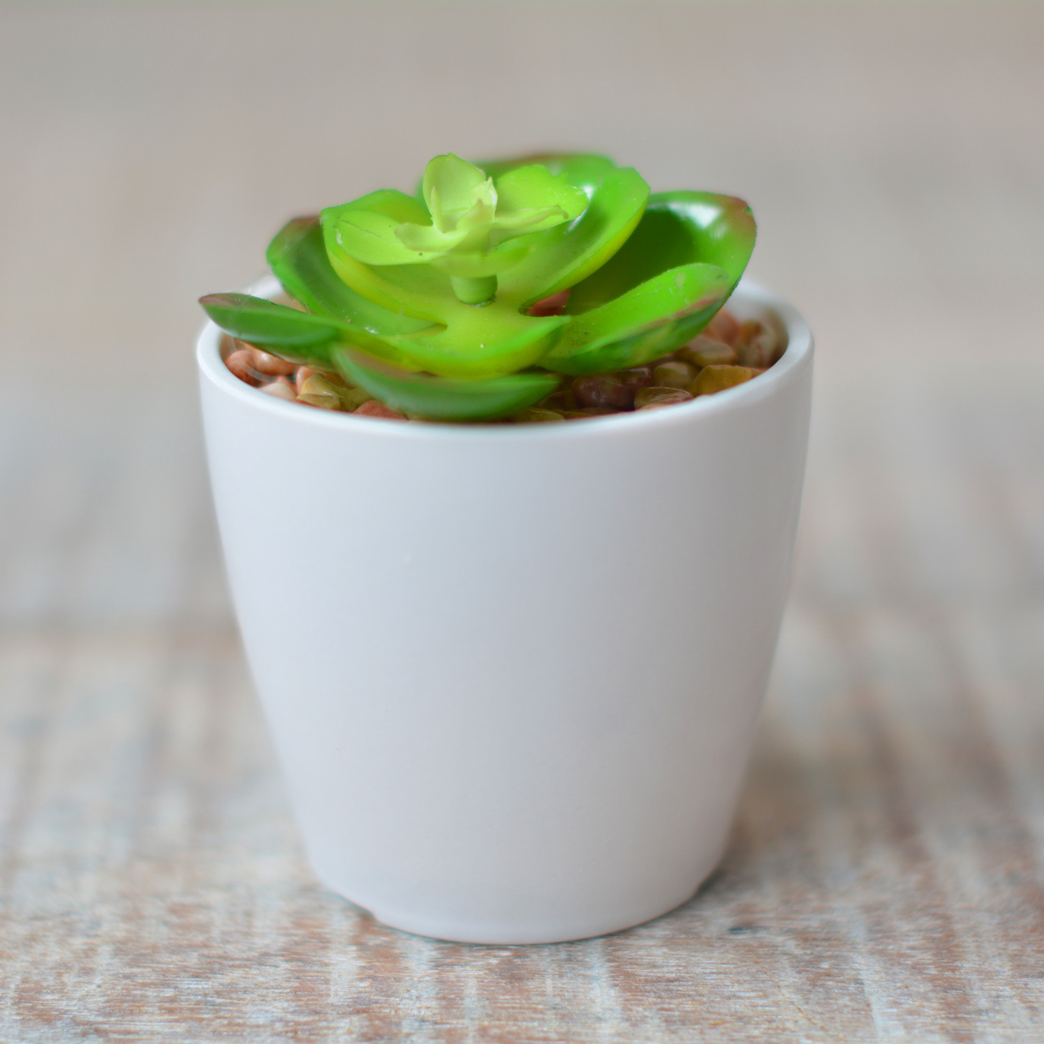 Artificial plant with Pot Ceramic Natural White Color for Decoration