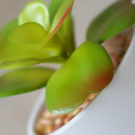 Artificial plant with Pot Ceramic Natural White Color for Decoration