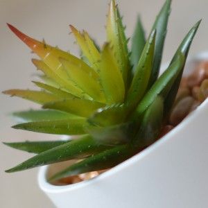 Planta Artificial con Maceta Cerámica Natural Color Blanco para Decoración