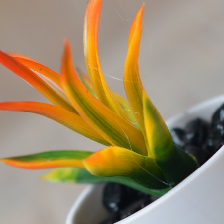 Artificial plant with Pot Ceramic Natural White Color for Decoration