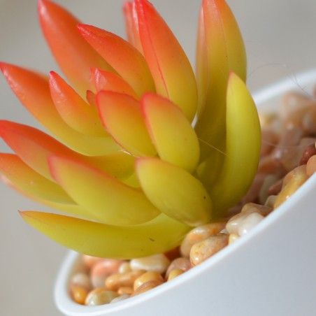 Artificial plant with Pot Ceramic Natural White Color for Decoration