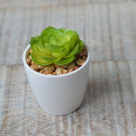Plantes artificielles avec Pot en Céramique Blanc Naturel pour la Décoration