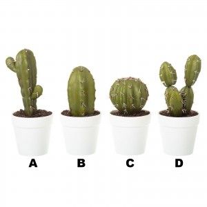 Impianto artificiale Modello Cactus con Vaso per la Decorazione, Quattro Modelli di Casa e di Più 