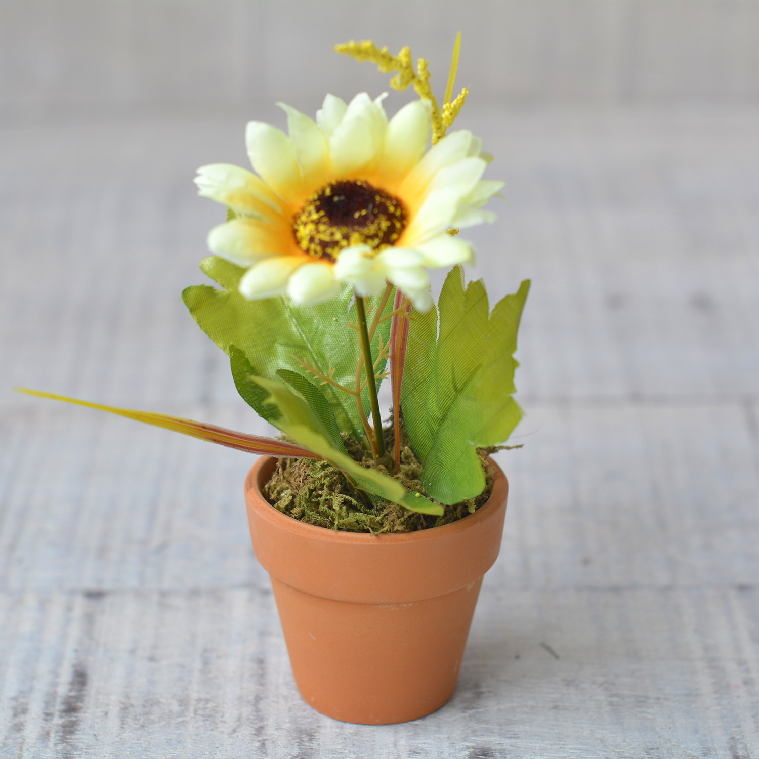 Plantes artificielles Blanc Pot de Boue Naturelle pour la Décoration de la Maison et de Plus