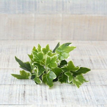 Artificial plant with Branches of Green Ivy and White Vertical Garden Two Units Home and More