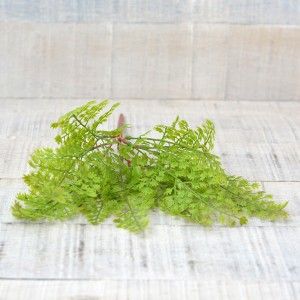 Plantes artificielles avec des Branches de Fougère pour Jardin Vertical de Deux Unités d'Accueil et Plus