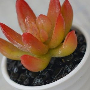 Plantes artificielles décoratives en céramique rose pot blanc naturel, avec en relief