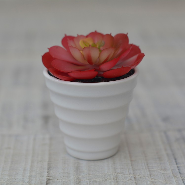 Plantes artificielles Décoratives rouge pot en Céramique blanc naturel