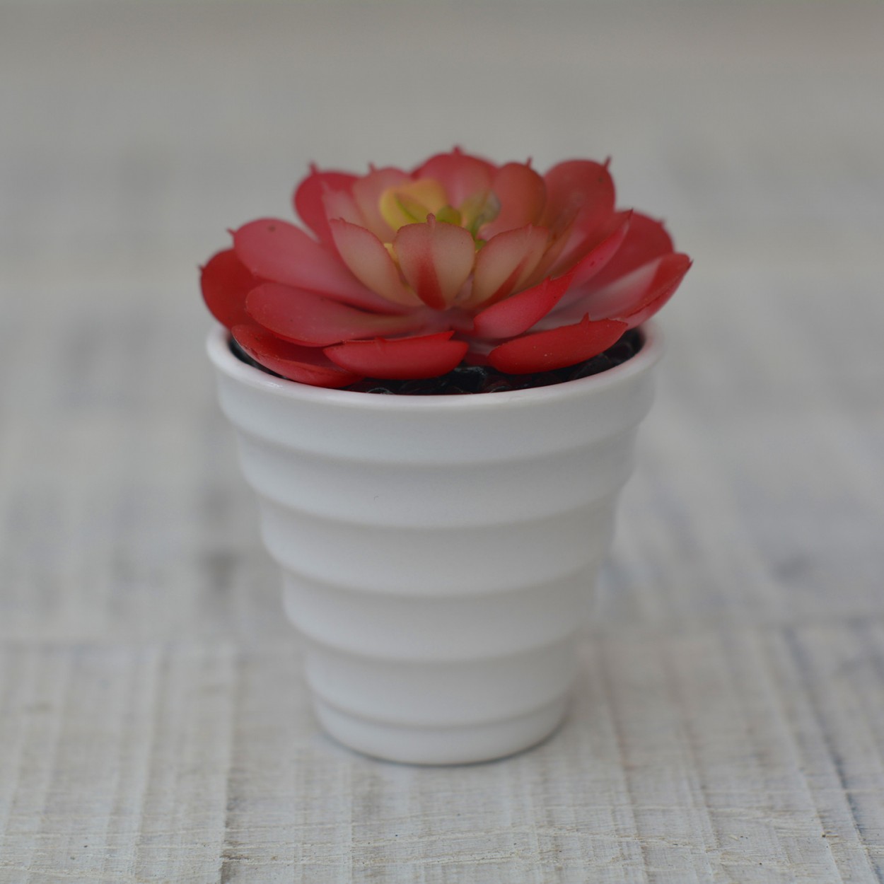 Artificial plant Decorative red Ceramic pot natural white