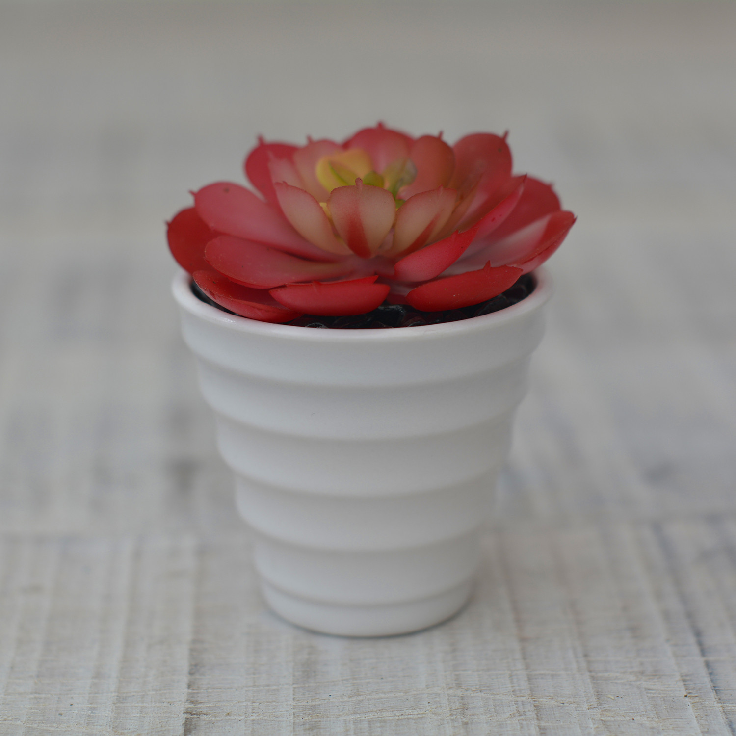 Plantes artificielles Décoratives rouge pot en Céramique blanc naturel